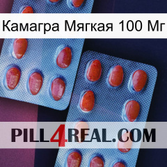 Камагра Мягкая 100 Мг 05